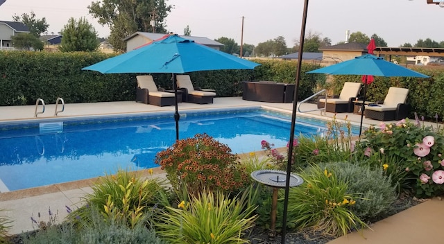 view of pool with a patio area and a fenced in pool