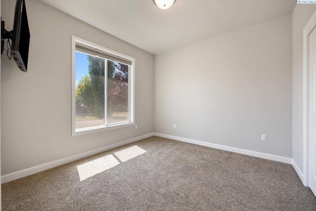 4736 Ava Way, Richland, WA 99352 - photo 7
