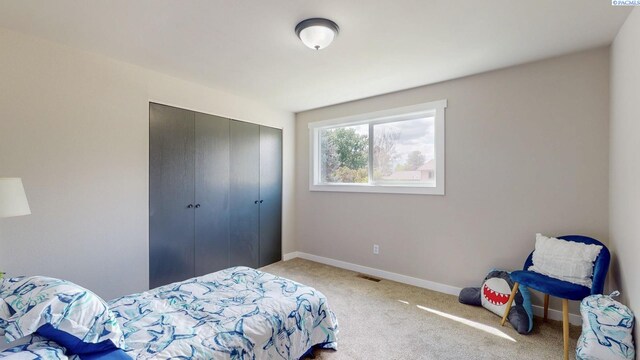 2342 Davison Ave, Richland, WA 99354 - photo 20