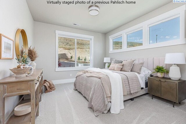 345 Epic St, Richland, WA 99352 - photo 8