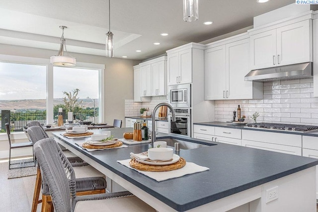 kitchen with a kitchen island with sink, under cabinet range hood, a sink, appliances with stainless steel finishes, and dark countertops