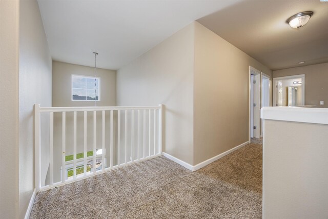 5007 Lucena Dr, Pasco, WA 99301 - photo 12