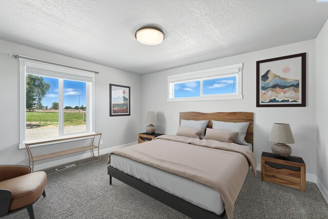 10401 N Mcdonald Rd, Prosser, WA 99350 - bedroom featuring carpet flooring and a textured ceiling