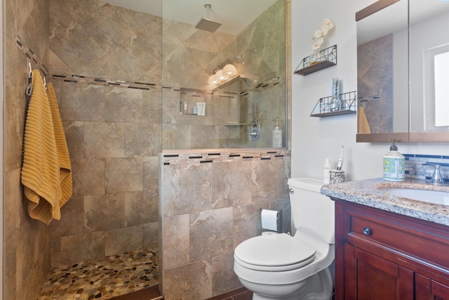 full bathroom featuring a walk in shower, vanity, and toilet