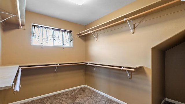 4415 Kubota Ln, Pasco, WA 99301 - photo 18