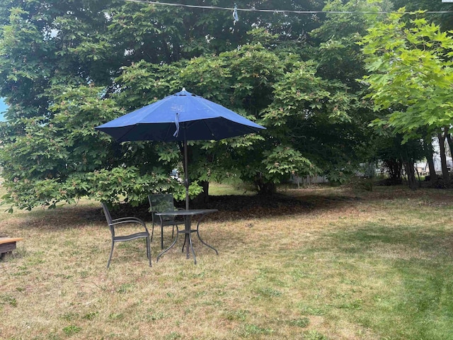 310 S Culton St, Palouse, WA 99161 - view of grassy yard