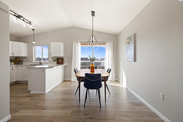 dining room with lofted ceiling, baseboards, wood finished floors, and a healthy amount of sunlight