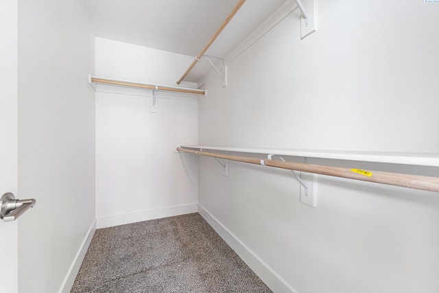 1613 Diamond Ave, Grandview, WA 98930 - walk in closet with carpet flooring