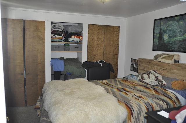 635 SE Holbrook Pl, Pullman, WA 99163 - view of bedroom