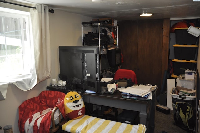 635 SE Holbrook Pl, Pullman, WA 99163 - office area with carpet