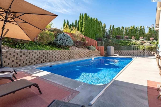 view of swimming pool with a patio area