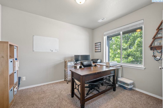 720 SW Wheat Ridge Dr, Pullman, WA 99163 - office area with carpet and baseboards