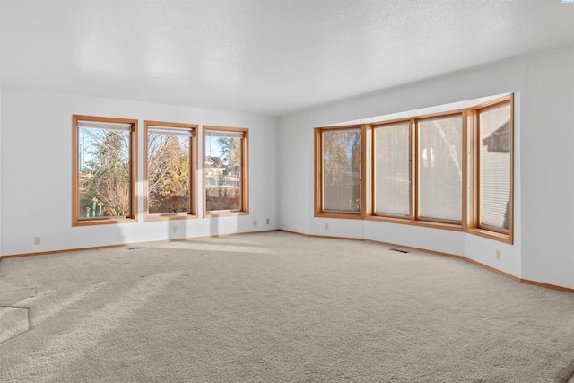 spare room featuring light carpet and a textured ceiling