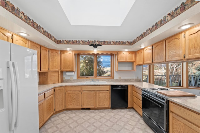 kitchen featuring sink, a tray ceiling, and black appliances