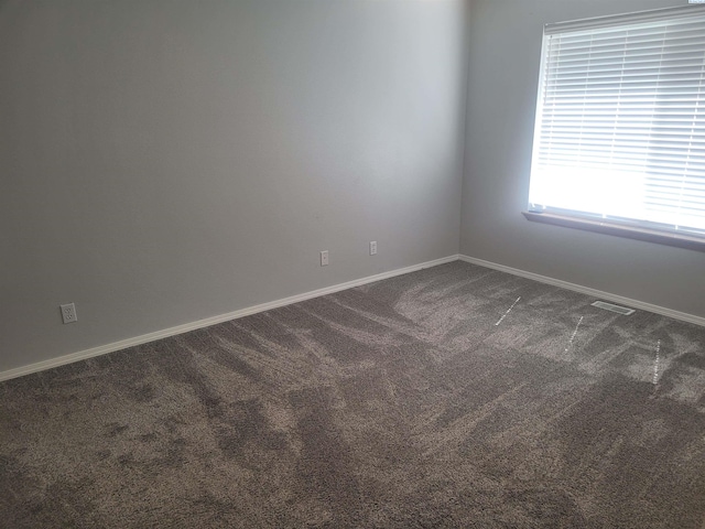 1677 Foxglove Ave, Richland, WA 99352 - photo 7