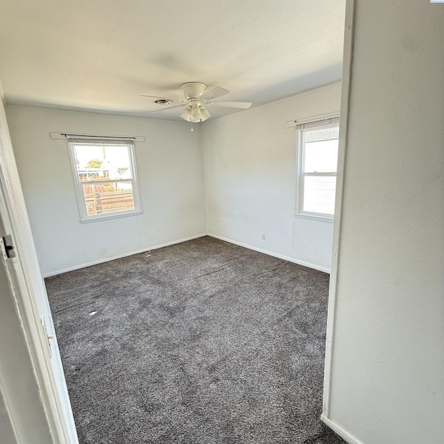 1604 Thayer Dr, Richland, WA 99354 - photo 11