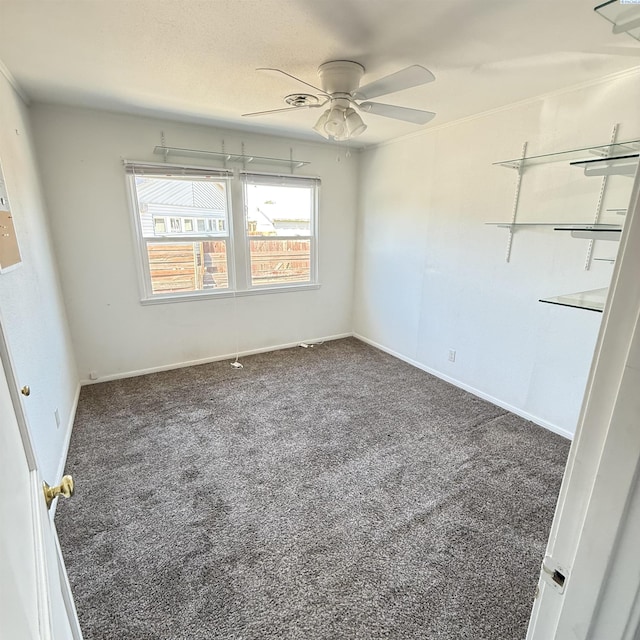 1604 Thayer Dr, Richland, WA 99354 - photo 10