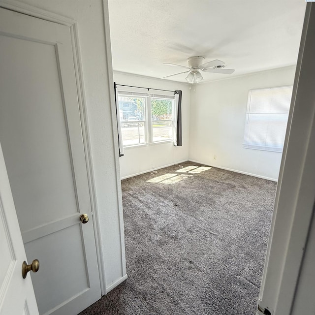 1604 Thayer Dr, Richland, WA 99354 - photo 7