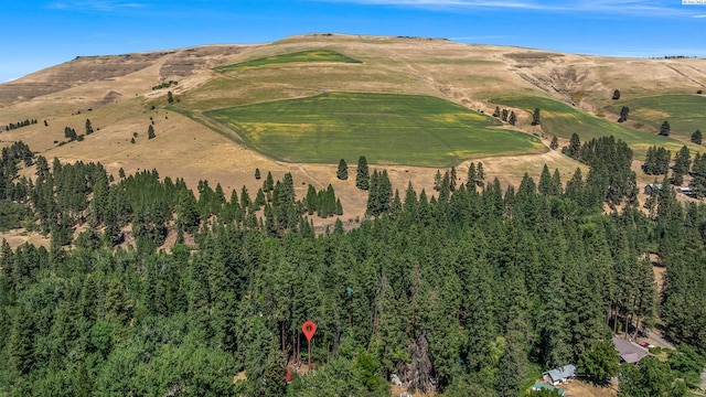 206 Mountain Home Park, Dayton, WA 99328 - photo 38