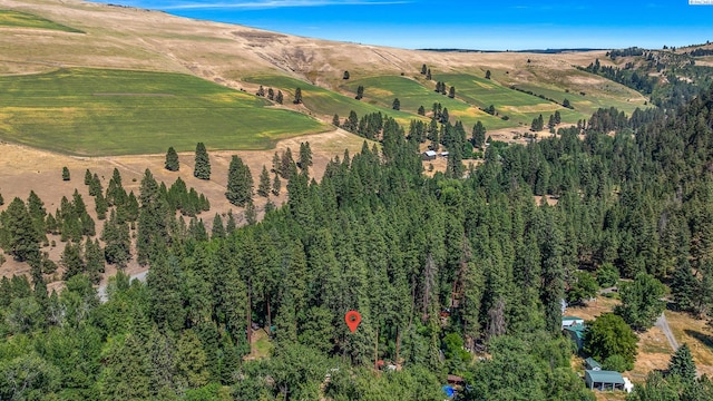 206 Mountain Home Park, Dayton, WA 99328 - photo 37