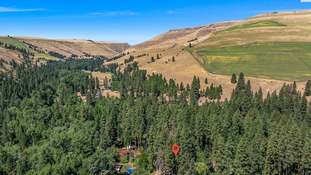 206 Mountain Home Park, Dayton, WA 99328 - photo 39