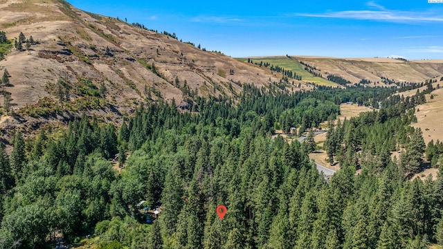 206 Mountain Home Park, Dayton, WA 99328 - photo 40