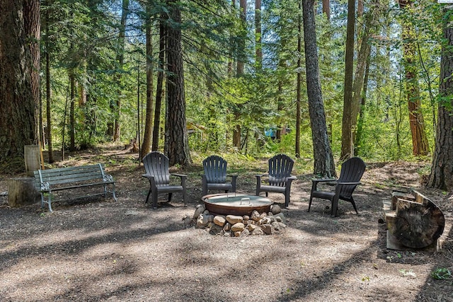 206 Mountain Home Park, Dayton, WA 99328 - photo 4