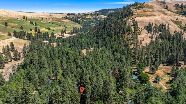 206 Mountain Home Park, Dayton, WA 99328 - photo 36