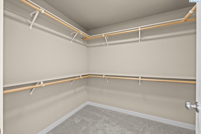 200 Ladera St, Prosser, WA 99350 - walk in closet featuring carpet flooring