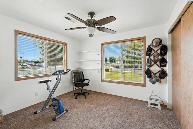 4813 S Washington Pl, Kennewick, WA 99337 - photo 16