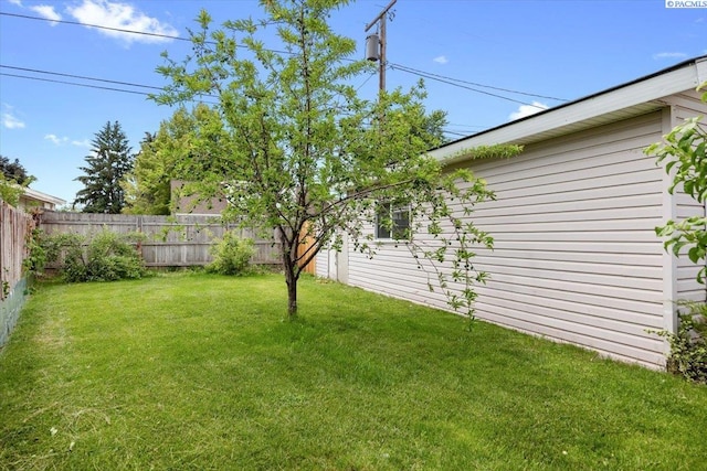 3925 W Okanogan Ave, Kennewick, WA 99336 - view of yard