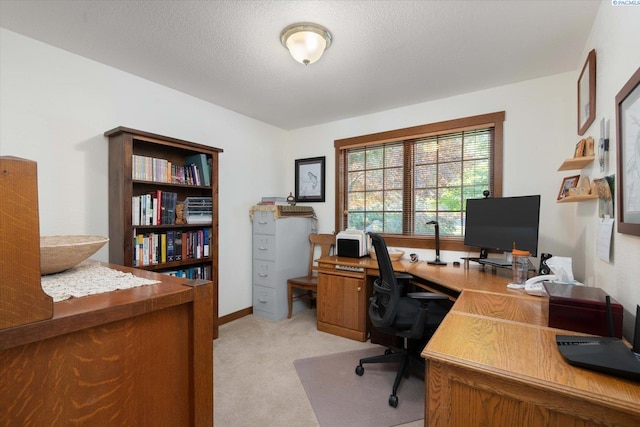 office space featuring light colored carpet and a textured ceiling