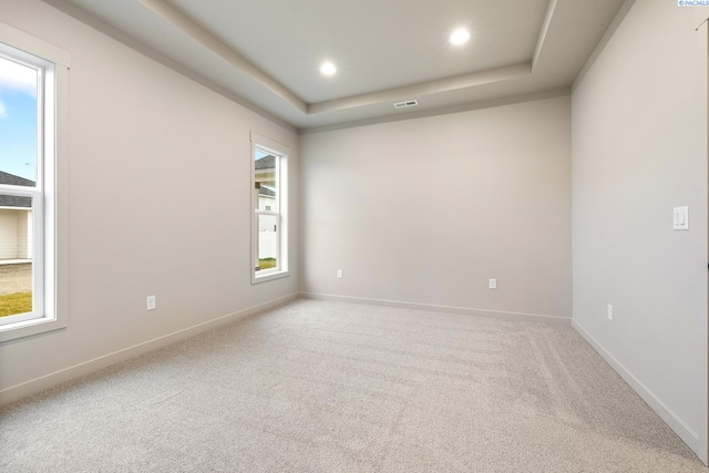 empty room with carpet flooring, a raised ceiling, and a wealth of natural light