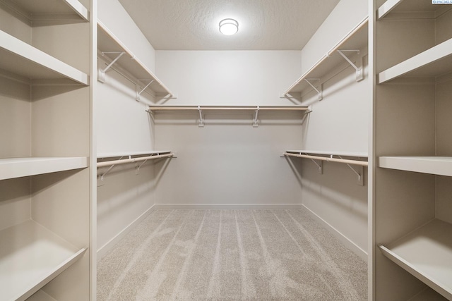 spacious closet with light colored carpet