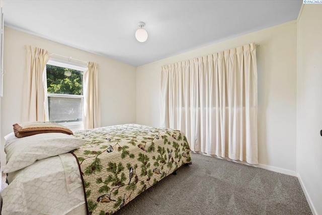 213 Bernard Ave, Richland, WA 99352 - bedroom featuring carpet and baseboards
