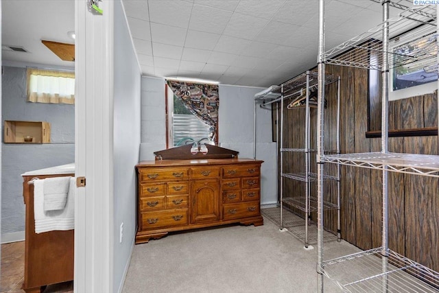 213 Bernard Ave, Richland, WA 99352 - walk in closet featuring carpet floors and a sink