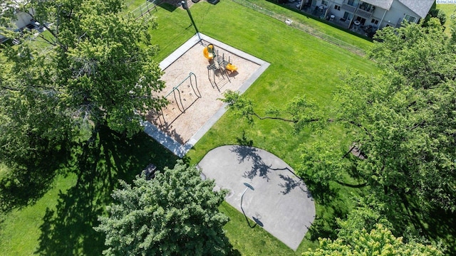 aerial view of a park