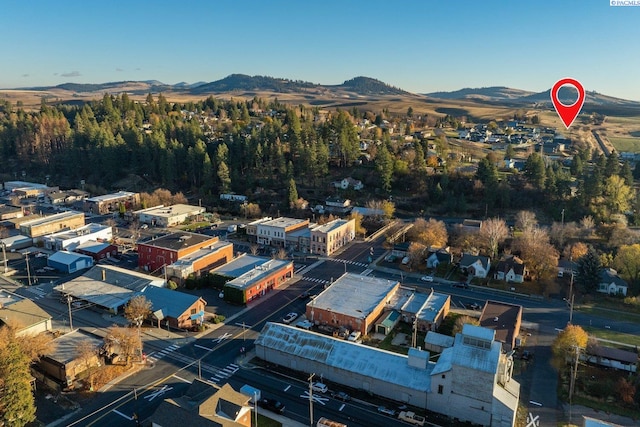 bird's eye view featuring a mountain view