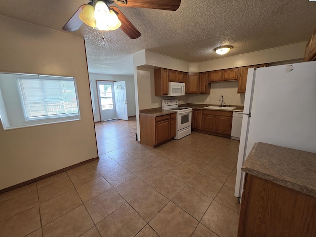 517 Green Pl, Kennewick, WA 99336 - photo 4