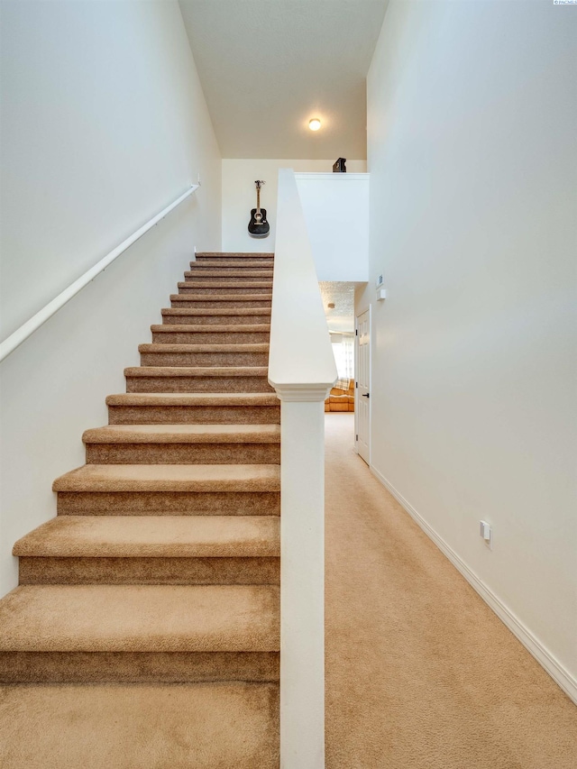 staircase featuring carpet flooring