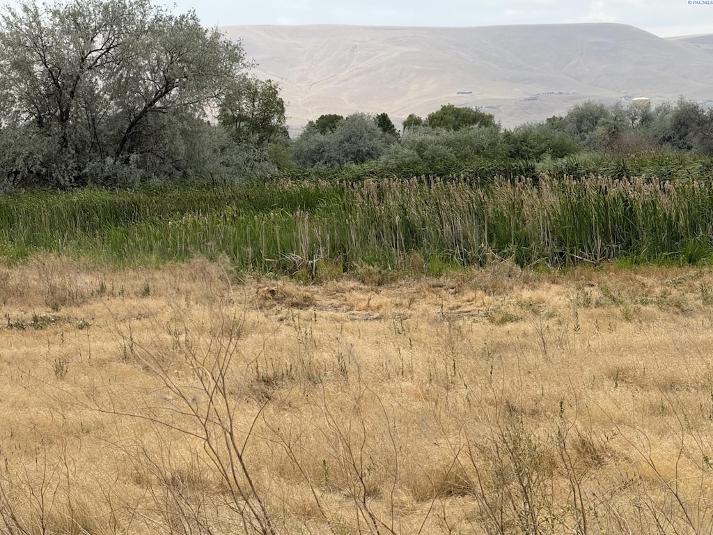 TBD Patricia Rd, Prosser, WA 99350 - photo 1