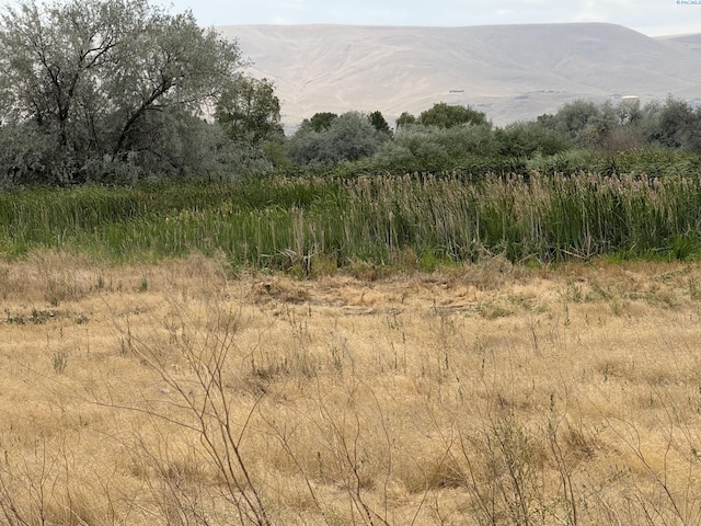 TBD Patricia Rd, Prosser, WA 99350 - photo 1