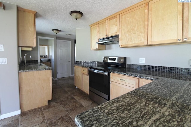 kitchen featuring under cabinet range hood, a sink, light brown cabinets, and stainless steel range with electric stovetop