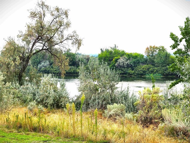 TBD Christy Rd, Plymouth, WA 99346