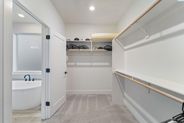 6105 Rd 119, Pasco, WA 99301 - spacious closet with light carpet