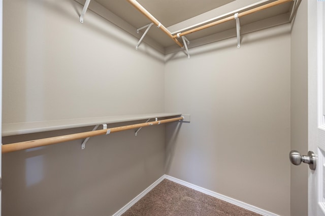 spacious closet featuring carpet