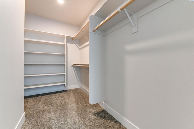 1557 Livorno Ave, Richland, WA 99352 - spacious closet with carpet flooring