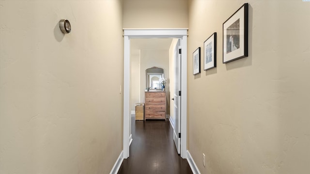 2830 Copperbutte St, Richland, WA 99354 - photo 25