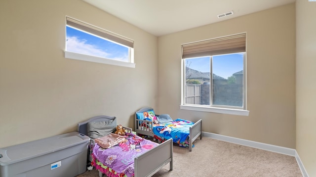 2829 Copperstone St, Richland, WA 99334 - photo 11