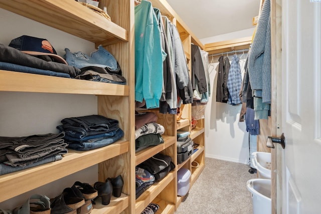 walk in closet with carpet flooring